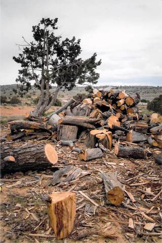 Donations Firewood Fund